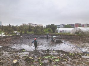 雨花台河道鱼塘清淤